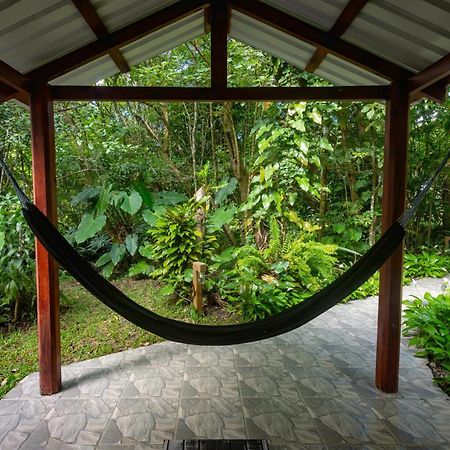 Cabanas Valle Campanas - Monteverde, Costa Rica 외부 사진
