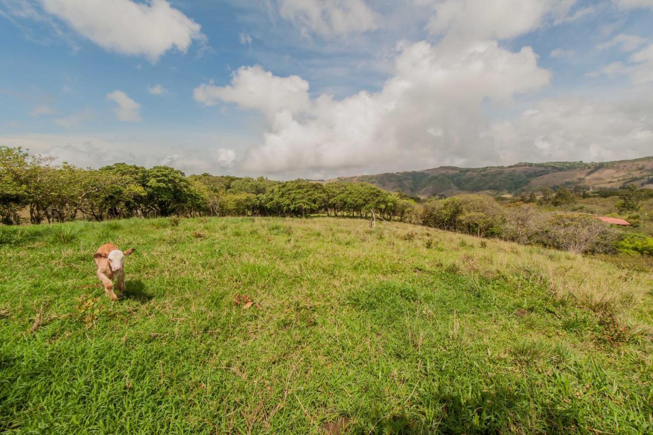 Cabanas Valle Campanas - Monteverde, Costa Rica 외부 사진