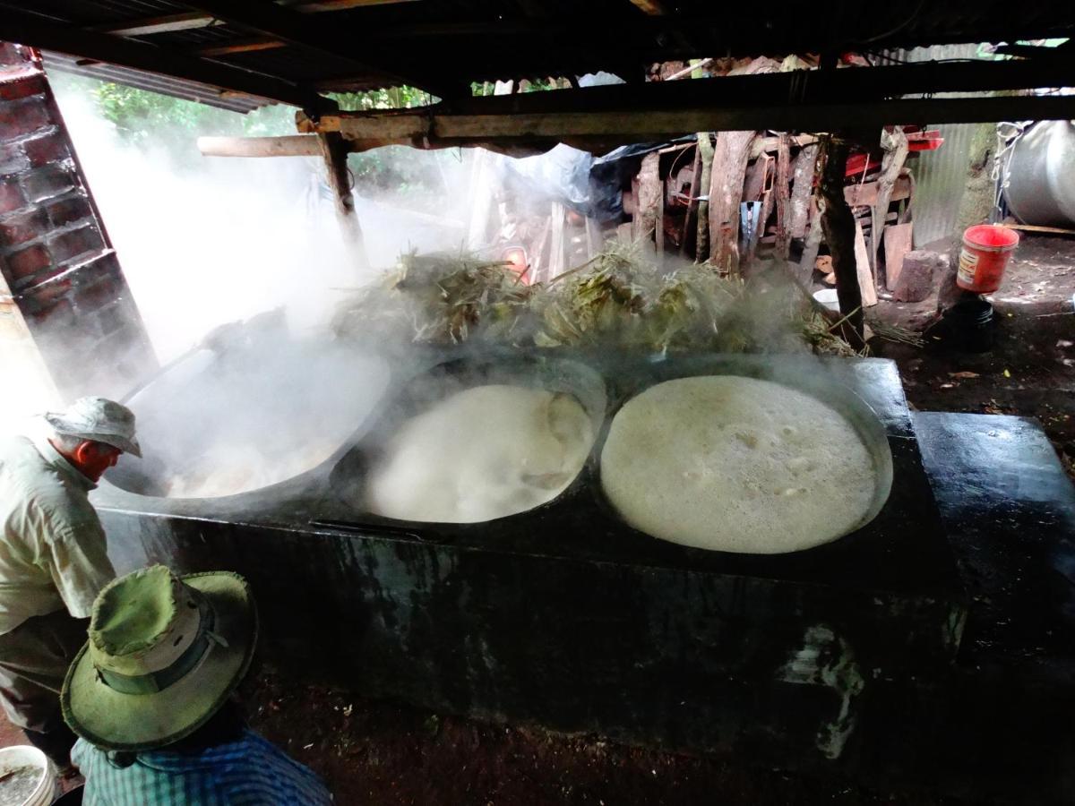 Cabanas Valle Campanas - Monteverde, Costa Rica 외부 사진